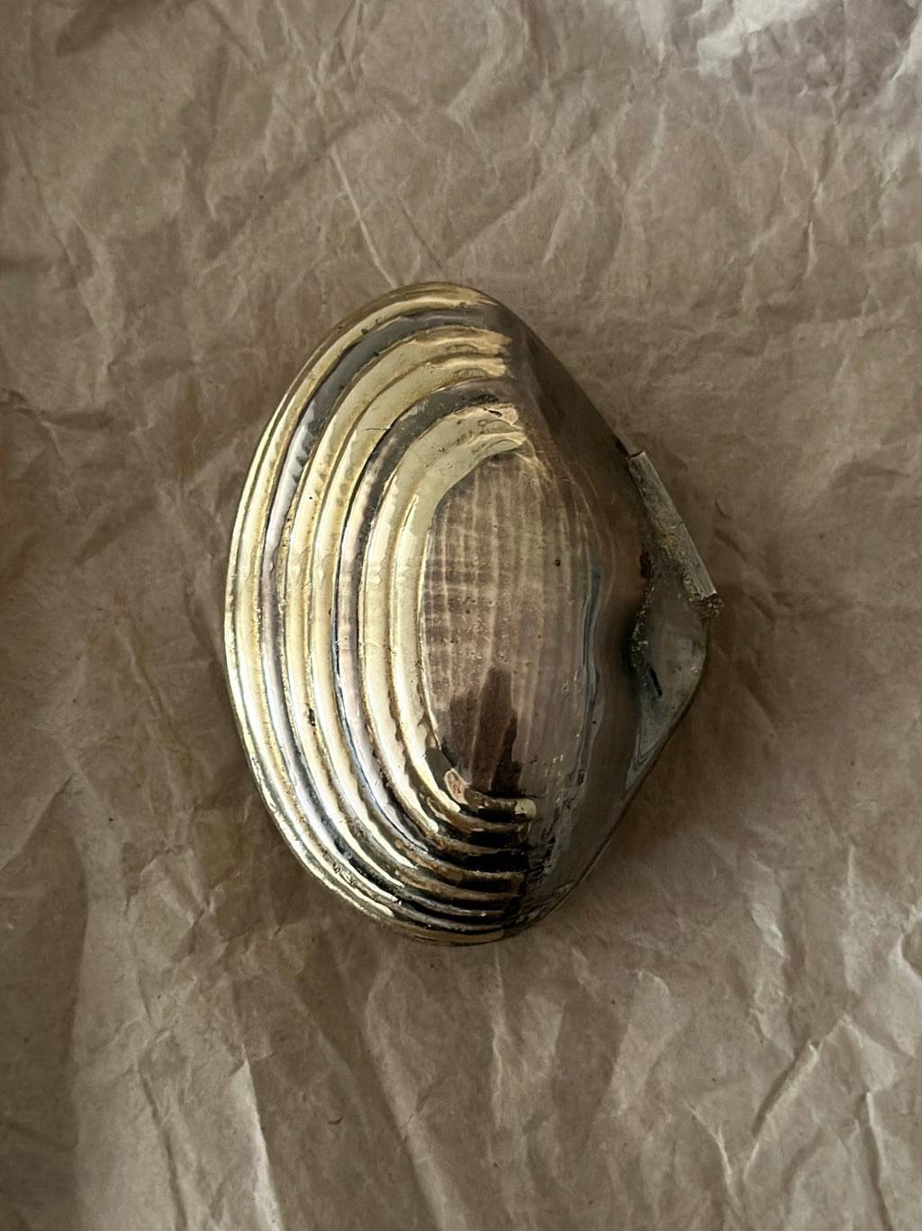 Vintage Shell-Shaped Box